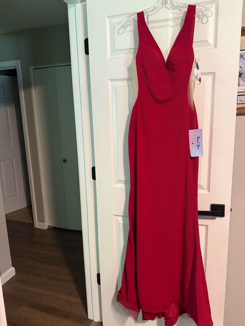 NWT Blush Red V-Neck Gown